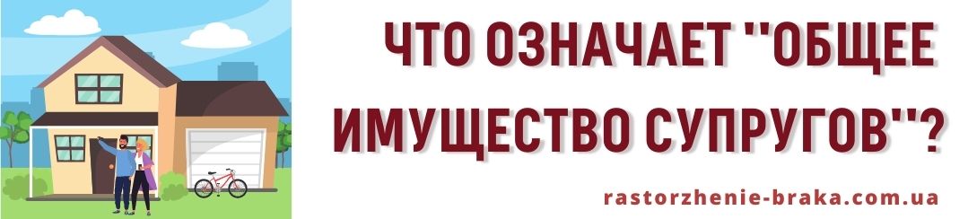 Что означает общее имущество супругов? Что означает общее имущество супругов?