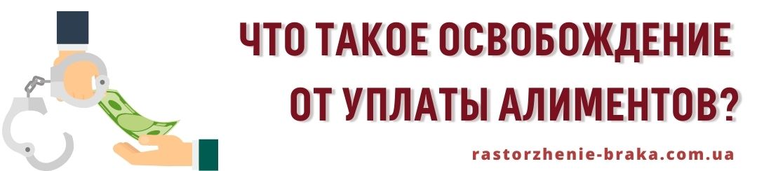 Что такое освобождение от уплаты алиментов?