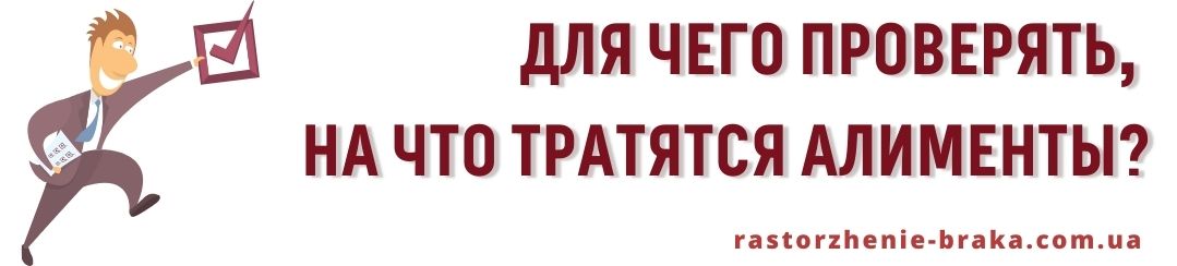 Для чего проверять, на что тратятся алименты?