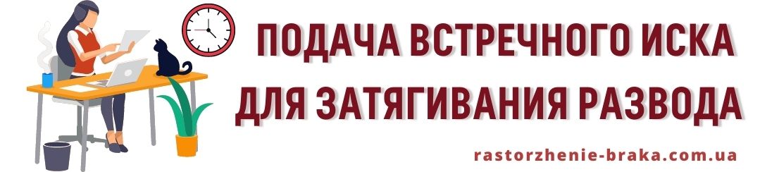 Подача встречного иска для затягивания развода Подача встречного иска для затягивания развода