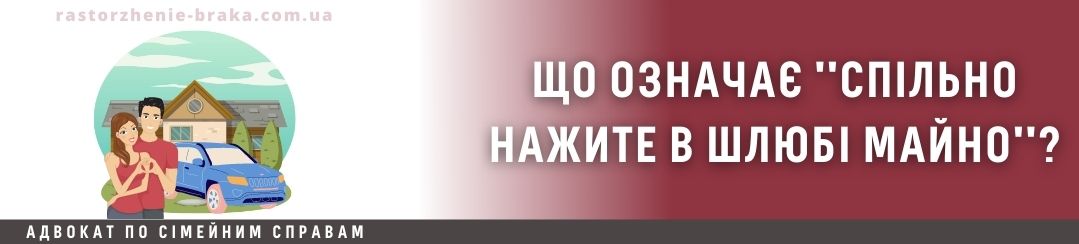 Що таке спільно нажите в шлюбі майно?