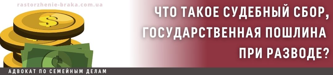 Что такое судебный сбор/государственная пошлина при разводе? Что такое судебный сбор/государственная пошлина при разводе?