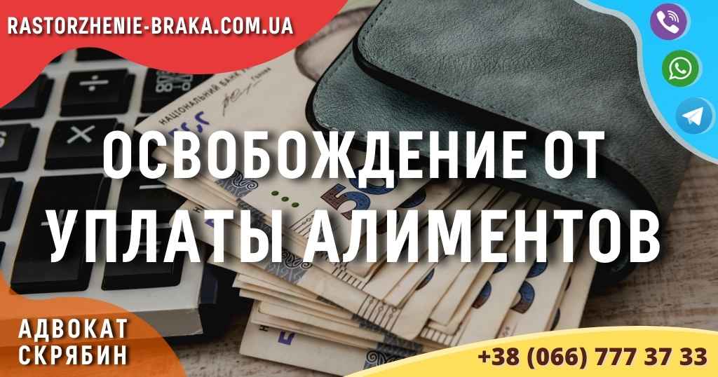 Освобождение от уплаты алиментов