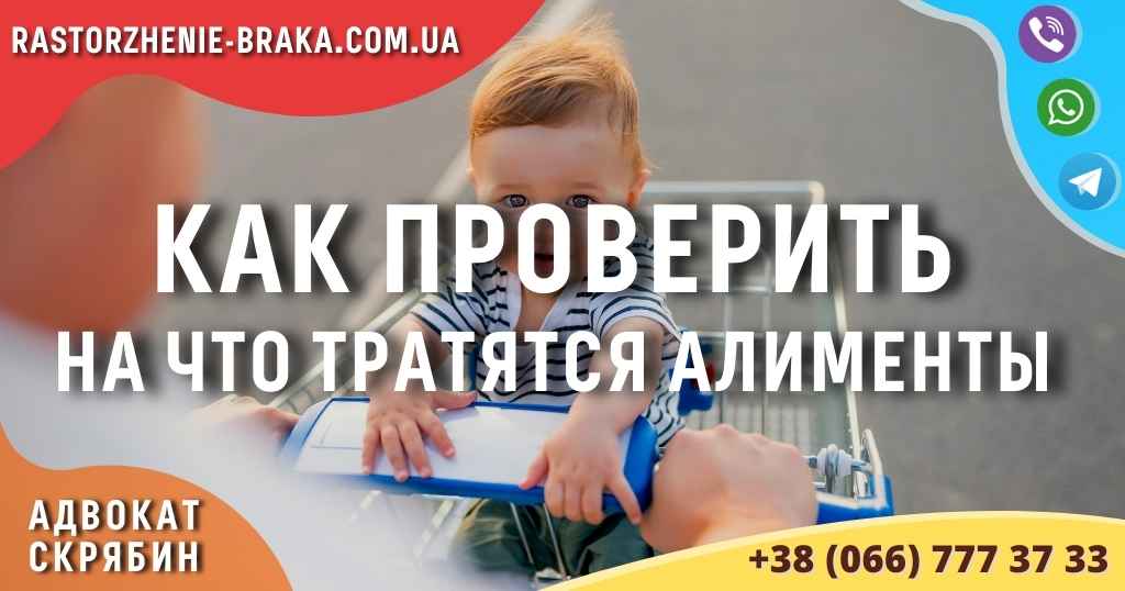 Как проверить на что тратятся алименты