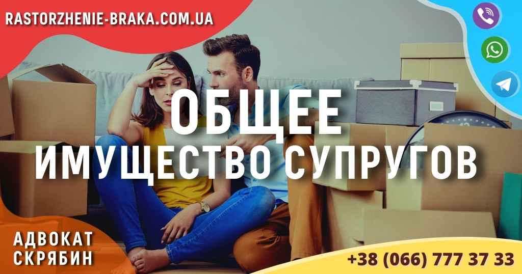 Общее имущество супругов Общее имущество супругов